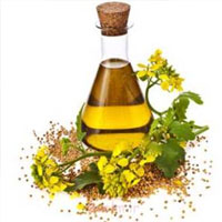 کرم‌ها و روغن‌ها